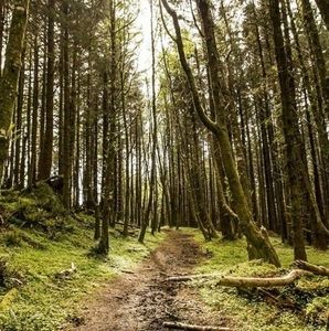 Meet your Posher, Mariam